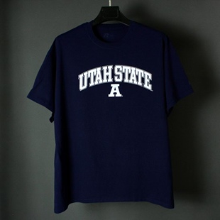 仰泳商店 Russell 罗素Utah State美国犹他州短袖T恤vintage古着