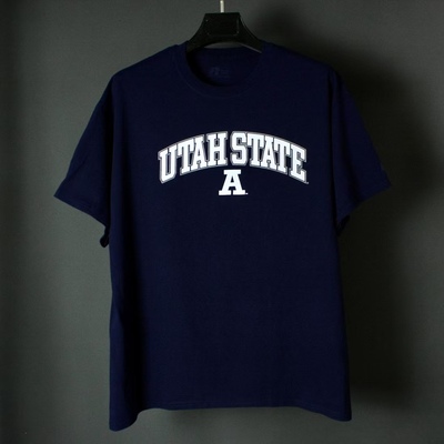 仰泳商店 Russell 罗素Utah State美国犹他州短袖T恤vintage古着