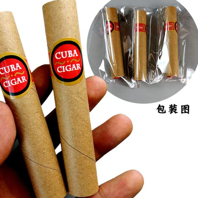愚人节舞会整人配件古巴假雪茄道具表演玩具模型