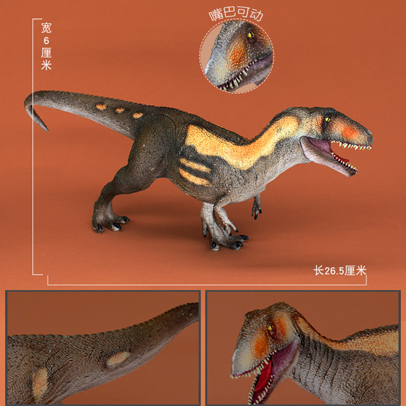 儿童科教认知玩具白垩纪兽脚类异特龙超科恐龙马普龙模型仿真动物