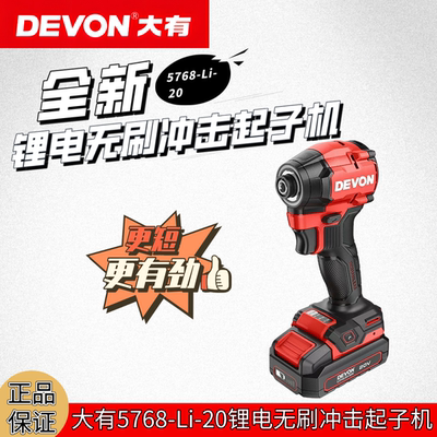 大有5768无刷冲击起子机充电式20V锂电电批电钻大扭力电动螺丝刀