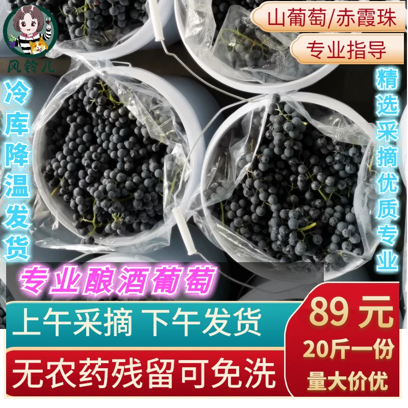 现摘酿酒葡萄20斤山葡萄新鲜现发山葡萄DIY赤霞珠毛刺葡萄紫晚熟