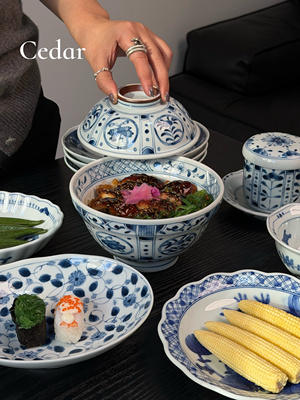 日本进口蓝凛堂碗带盖日式陶瓷盖碗面碗炖盅煲汤碗泡面碗蒸菜碗