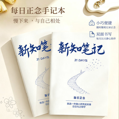 TN本新知笔记 每日正念学生手账计划本情绪记事高颜值治愈日记本