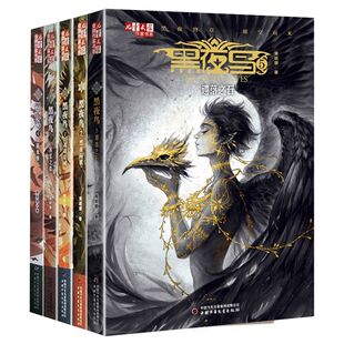 黑夜鸟 幻想小说小学生 全5册 儿童文学金牌作家书系 4白昼永恒3回忆之踪2之迷途夏域1黑夜陨歌5遗落之石 黄颖曌 正版