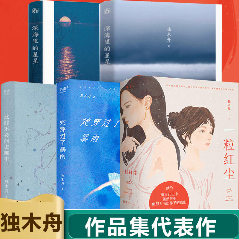 她穿过了暴雨独木舟小说