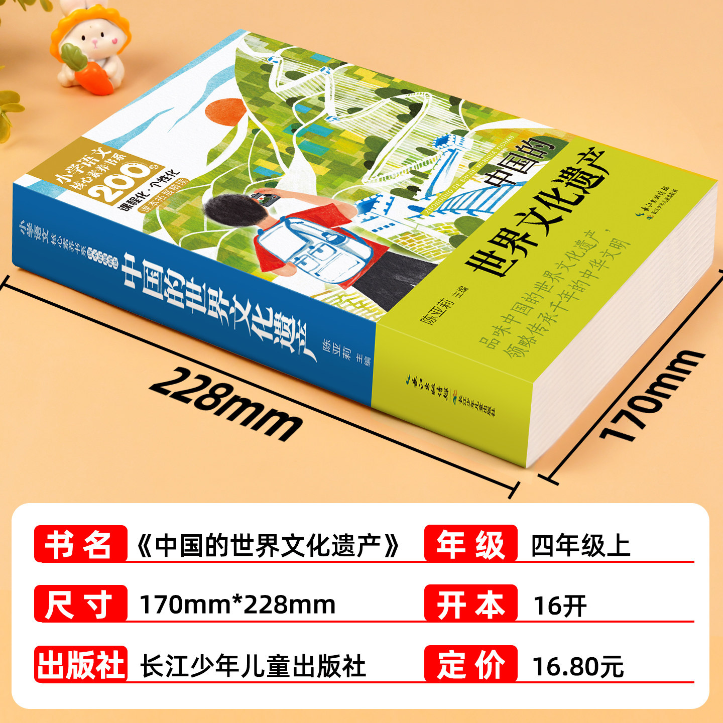 中国的世界文化遗产小学语文四上图片