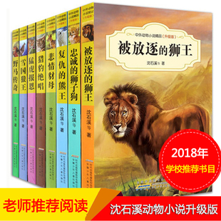 狮王复仇 书全系列四五六三年级小学生必读课外书6 沈石溪动物小说全集8册被放逐 熊王狼王梦作者沈石溪 15岁儿童读物