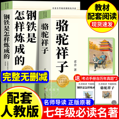骆驼祥子和钢铁是怎样炼成的