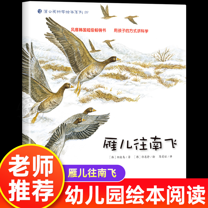 雁儿往南飞 幼儿园绘本书阅读3-4-6岁 儿童科普读物科学启蒙睡前故事书 老师推荐三到四五岁宝宝启蒙阅读图书儿童启蒙故事书籍