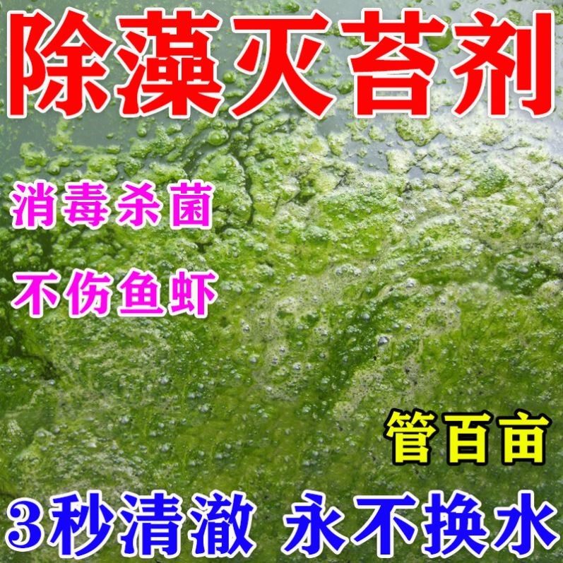 鱼池除藻去苔剂鱼塘净水除绿水碱油膜青苔褐蓝藻分解酶消毒杀菌药
