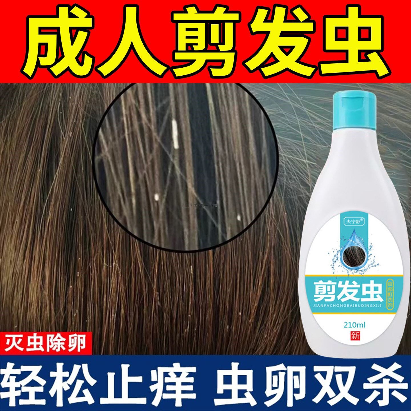 去剪发虫洗发水治成人小女孩除头螨卷发虫白点的药祛屑止痒洗发露