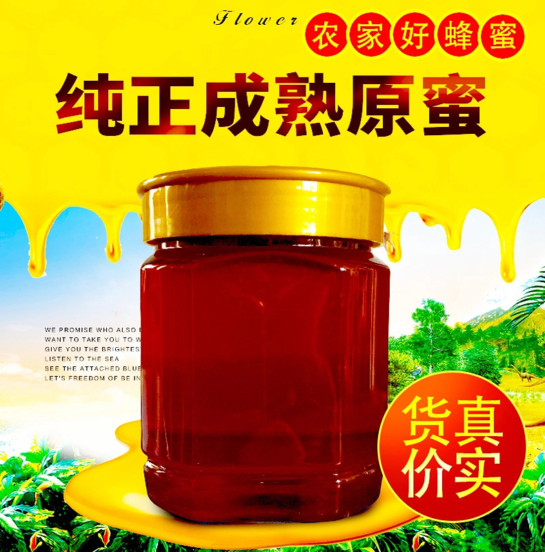食用正品洋槐蜜油菜蜜荆条蜜