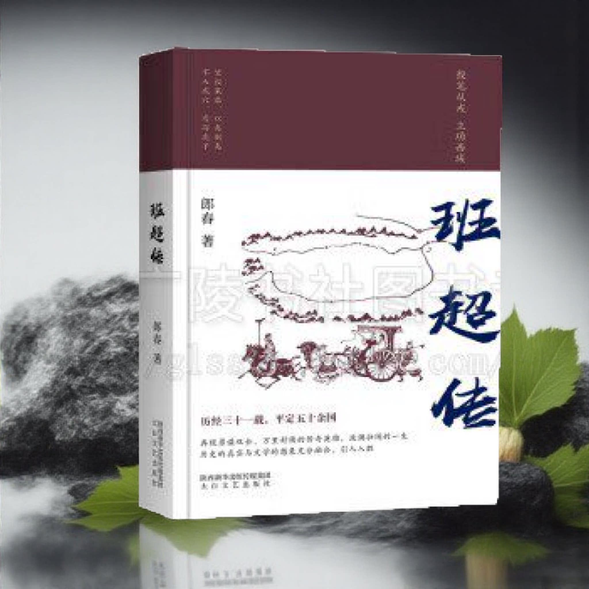 班超传 班超人物传记 郎春 著 小说书籍 班超二通丝绸之路史实 班超纵横西域30多年军事斗争政治建树故事 太白文艺
