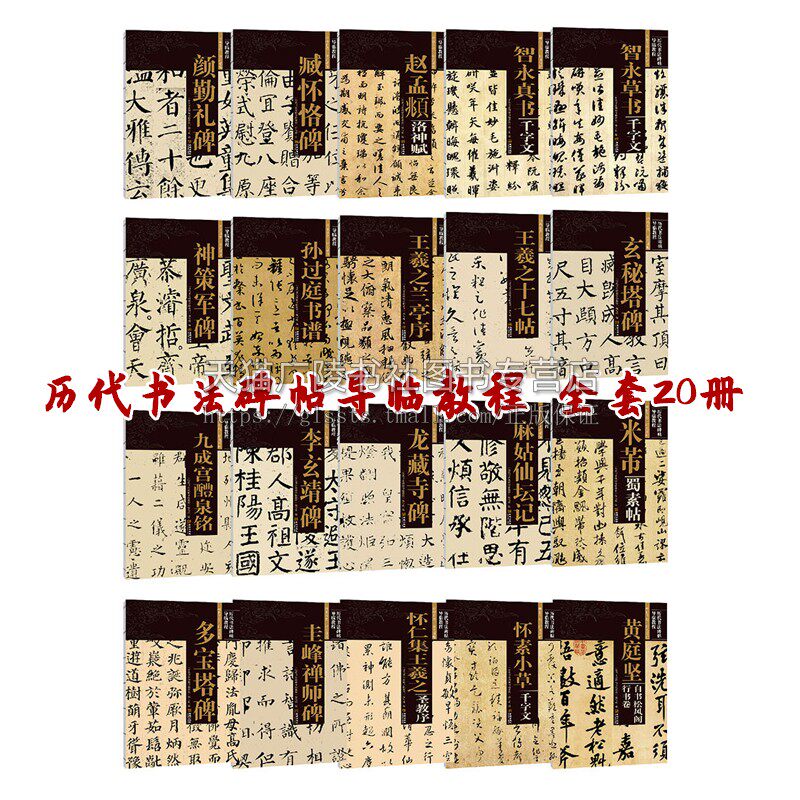 历代书法碑帖导临教程（全20册）书法爱好者临摹范本赏析 初学者入门零基础教程工具书籍 书法技法解析 金城出版社