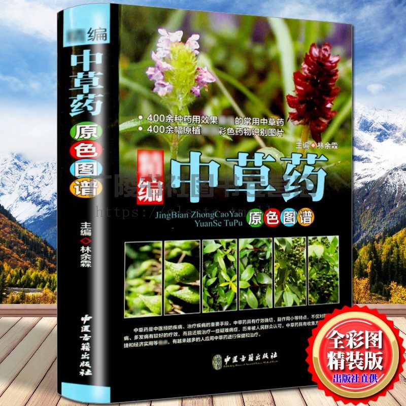 精编中草药原色图谱野外识别应用手册彩图大全书籍精装中医草药方剂学零基础学会