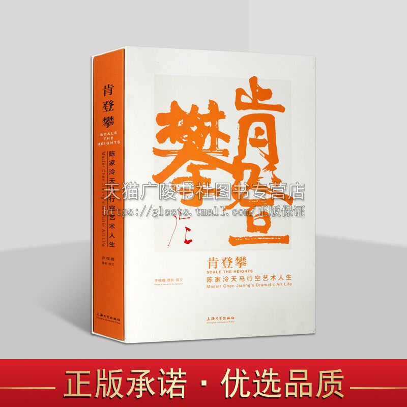 肯登攀 陈家泠天马行空艺术人生 许根顺 著 摄影集 中国当代摄影艺术 摄影艺术探索 上海大学出版社