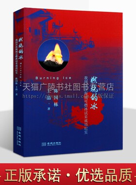 燃烧的冰 我国海域试采可燃冰成功纪实 陈国栋著 中国当代报告文学 地质科研科技发展研究经典著作畅销书籍 金城出版社