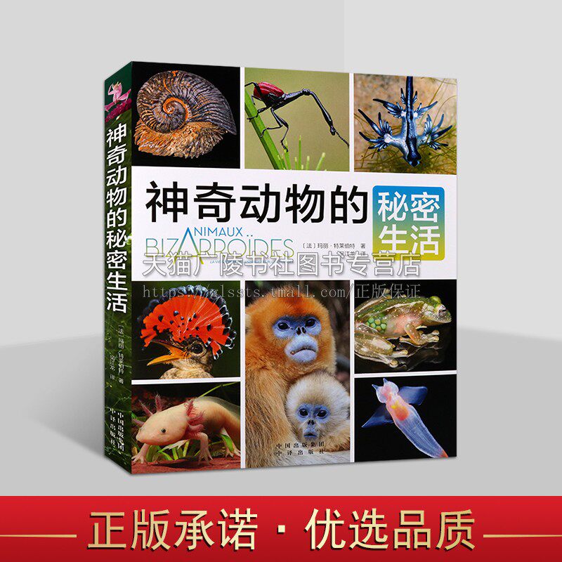 神奇动物的秘密生活 地球上真实存在的神奇动物 神奇动物科普高清图片(法)玛丽·特莱伯特 儿童青少年自然科学科普知识 中译出版
