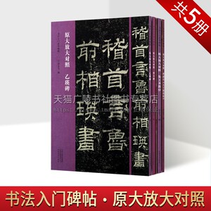 原大放大对照书法入门碑帖（全5册）翁志飞王立奎  褚遂良大字阴符经乙瑛碑集王圣教序王羲之兰亭序曹全碑字帖临摹鉴赏范本书籍