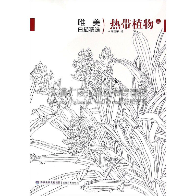 唯美白描精选 热带植物 三 工笔画花卉技法白描底稿勾线稿毛笔画谱