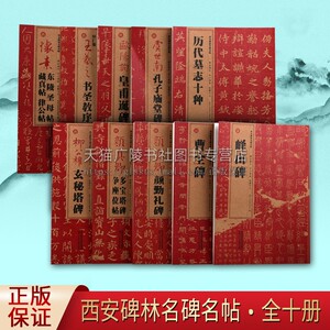 西安碑林名碑名帖（全套10册）西安碑林博物馆名碑精粹拓片 颜真卿颜勤礼碑 王羲之欧阳询等书法字帖碑帖临摹 陕西人民美术出版社