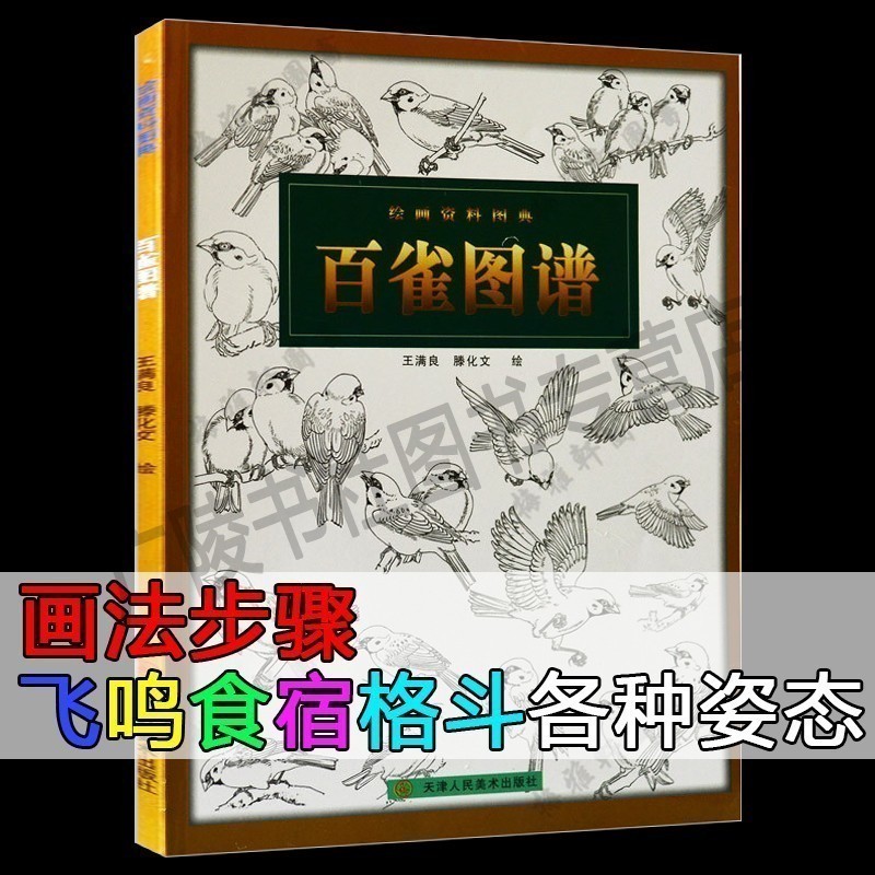 百雀图谱 王满良 滕化文 初学者禽鸟白描画谱翎毛素描工笔底稿线描绘画自学入门零基础教材书籍正版天津人民美术出版社