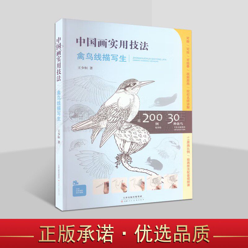 中国画实用技法-禽鸟线描写生 附教学视频 近200例临摹稿30种禽鸟手绘分解教程 美术绘画 天津人美