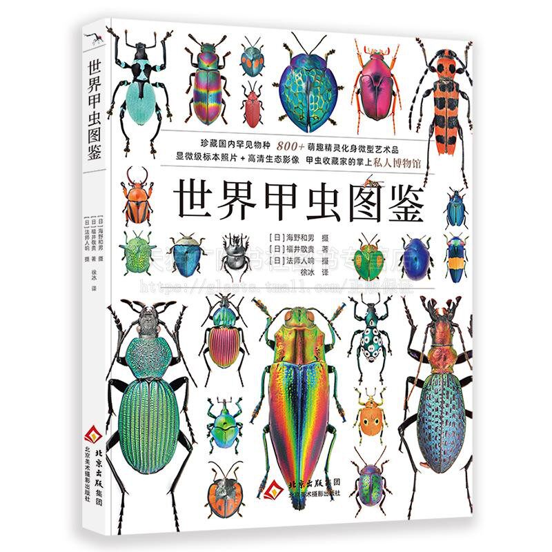 世界甲虫图鉴 森林宝石甲虫科普书籍 昆虫家谱野外鉴别指南中国国家地理图书甲虫昆虫自然科普书籍 昆虫摄影 北美摄影出版