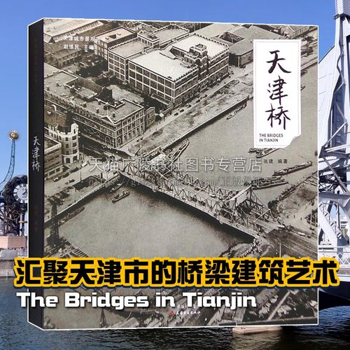 天津桥 张建 著 海河运河子牙月牙河复兴河上的桥梁解放桥大沽桥狮子林桥天津卫历史城市建筑艺术景观研究书籍
