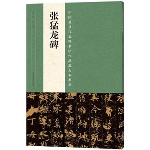 张猛龙碑 中国代表性书法作品放大本系列 张海编 传统文化书法艺术基础理论技法技巧名家名作赏析临摹鉴赏书籍 河南美术出版社