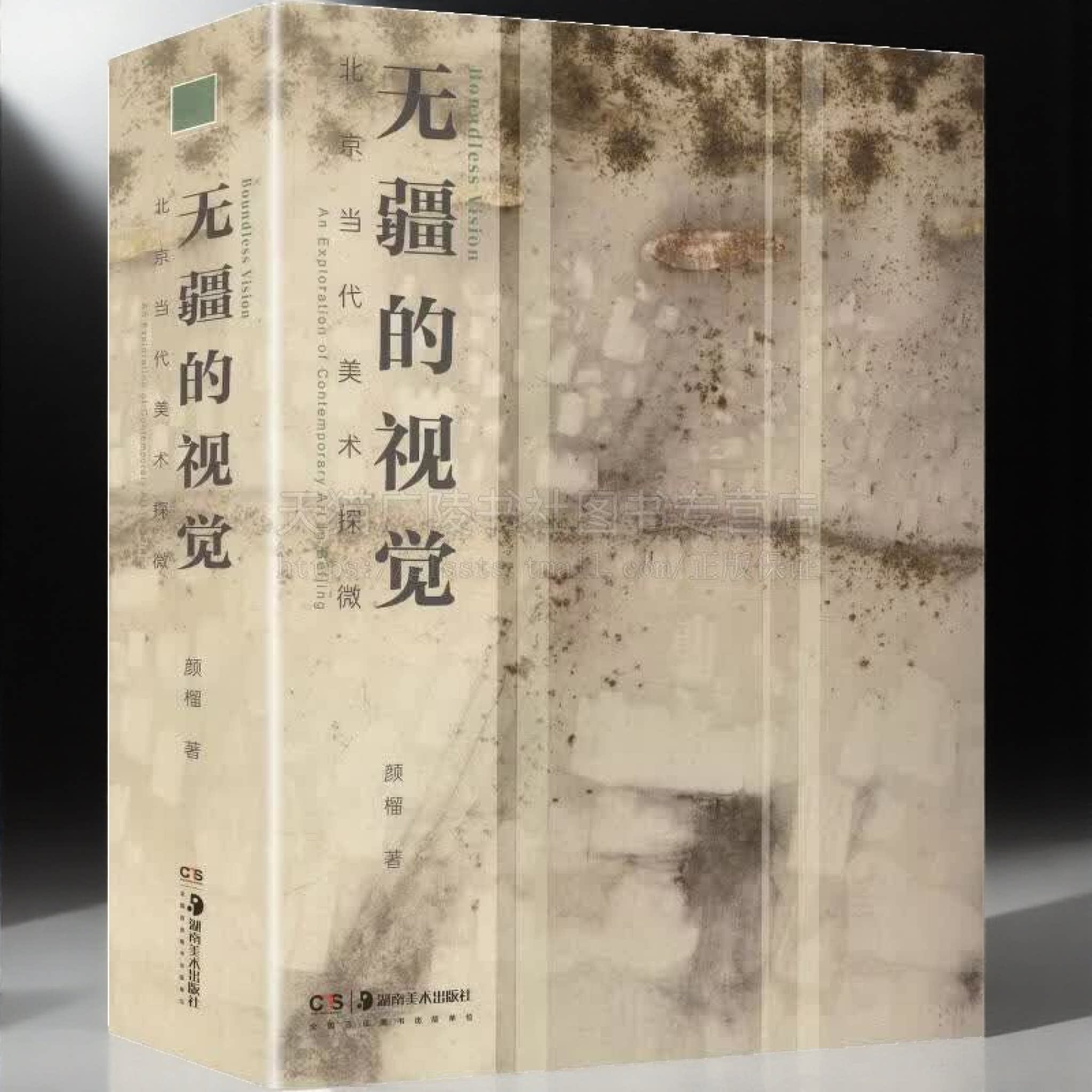 无疆的视觉北京当代美术探微 当代艺术 中国近现代美术 农民如何成为达·芬奇 吴大羽吴冠中陈逸飞等艺术家作品展览集 湖南美术