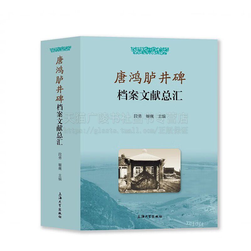 唐鸿胪井碑档案文献总汇 段勇 姬巍 著 唐鸿庐井碑文献 唐鸿庐井碑学术研究论文 上海大学出版