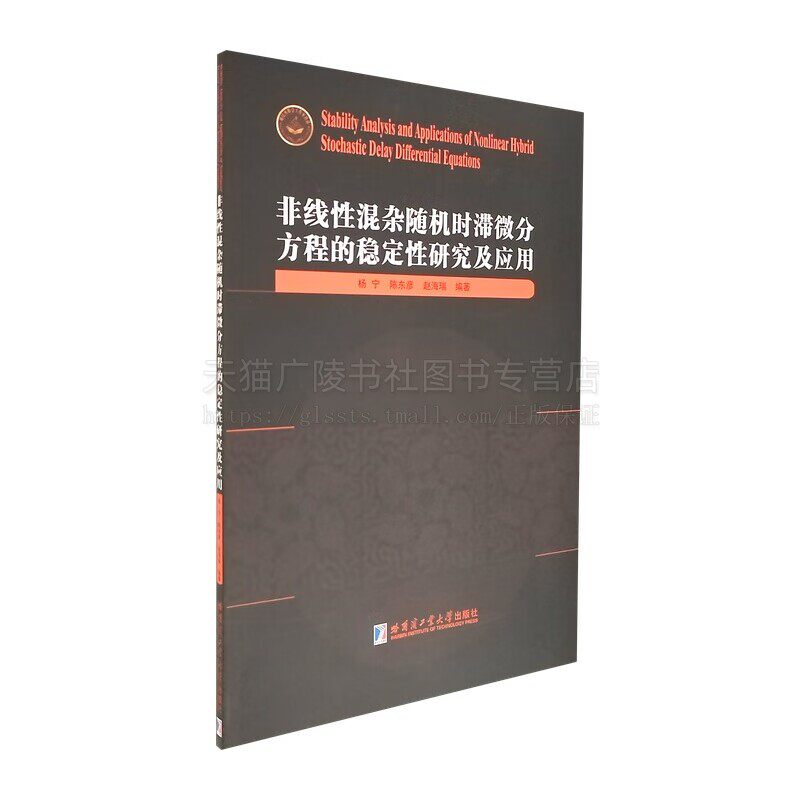 非线性混杂随机时滞微分方程的稳定性研究及应用 杨宁 著 大学教材 哈工大出版社