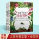 无处不在 儿童文学科普文艺作品 甲虫王国 妙不可言 近亲 高智商 少年儿童出版 社 昆虫与它 昆虫邻居 蜂类昆虫 4册 昆虫记套装