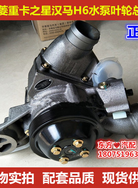 华菱之星搅拌自卸车汉马H618/28华菱汉马水泵叶轮总成重卡配件