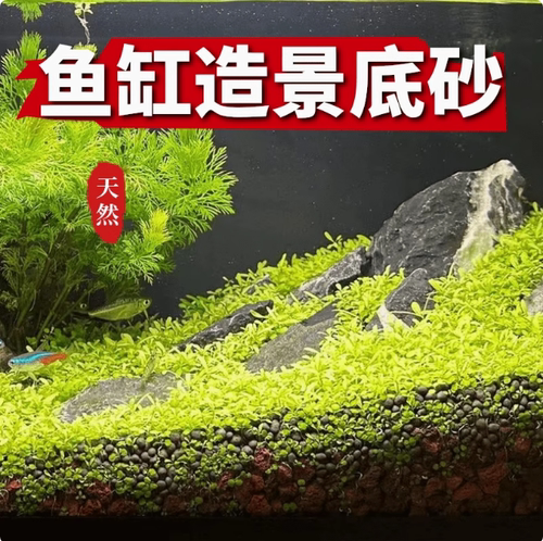 精洗精筛鱼缸造景底砂青龙石溪流石火山石水草泥净水水草天然铺底