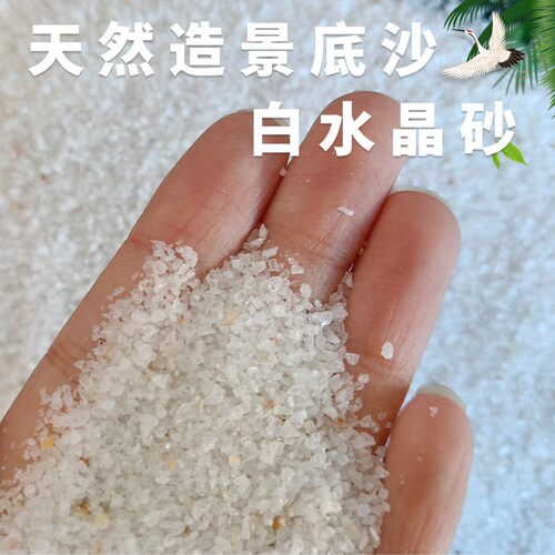 原生态天然河沙白水晶砂鱼缸造景底沙多肉盆栽造景铺面小玩意生态