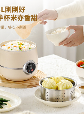110V伏美国日本加拿大中国台湾迷你小型电饭煲汤煮粥米饭锅1.6L