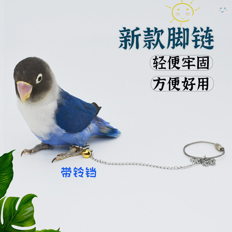 鹦鹉鸟脚环脚活扣开口环不锈钢鸟脚链轻便脚套足环八哥站架鸟环