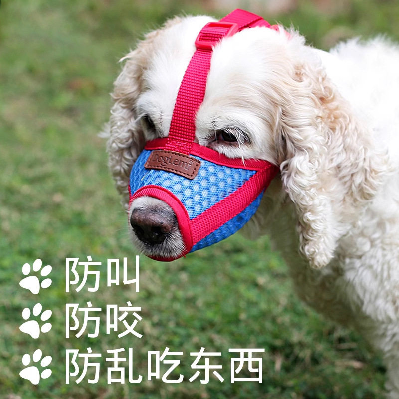 狗狗嘴套舒适透气不易闷嘴可饮水可喝水防乱吃比熊柯基小型犬嘴套