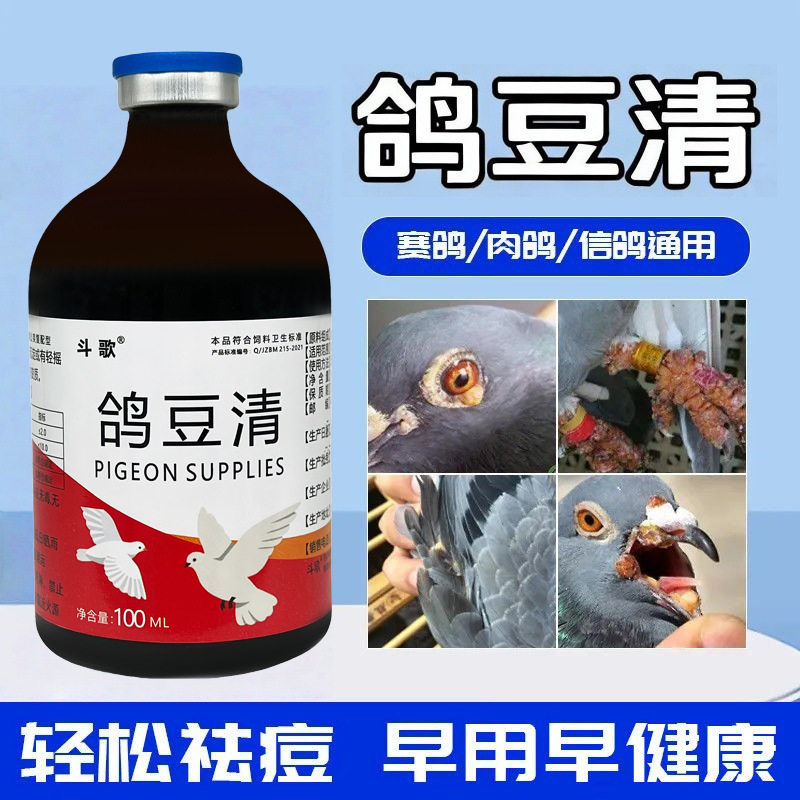 鸽豆清鸽痘当日消治鸽子眼皮嘴角脚趾长鸽逗信鸽赛鸽专用品