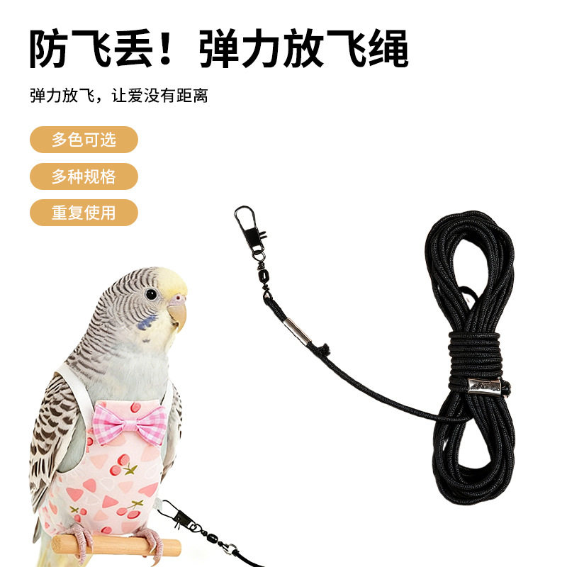 跨境飞行绳玄风牡丹背带外出遛鸟牵引弹力放飞绳鸟玩具