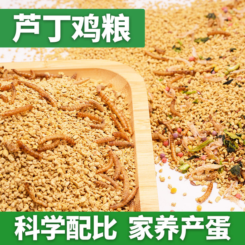 芦丁鸡饲料粮食卢丁鸡饲料粮食产蛋饲料面包虫育雏饲料鹌鹑饲料