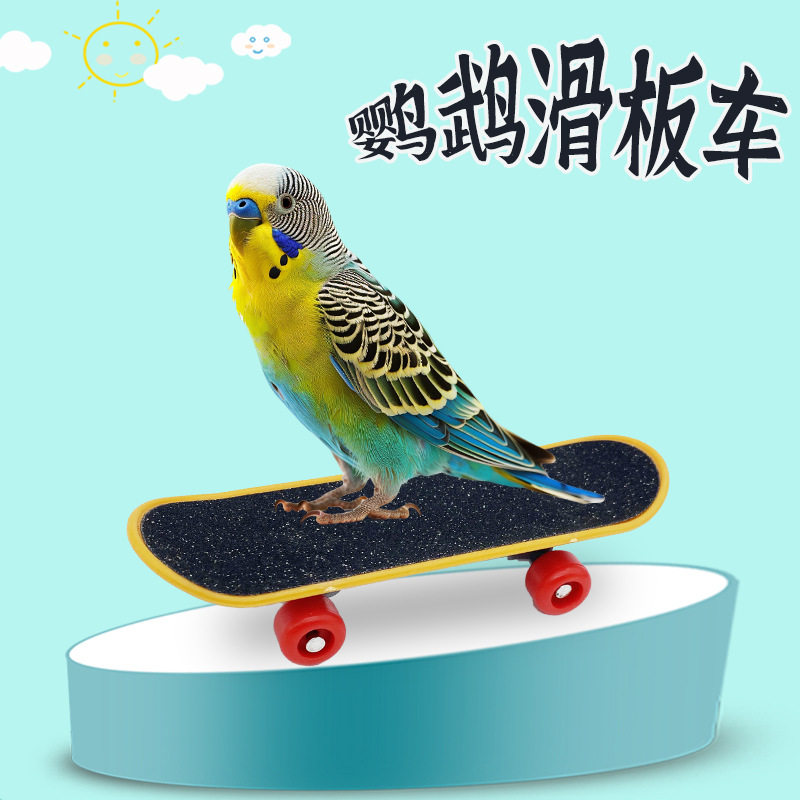 鹦鹉鸟玩具滑板车磨砂车虎皮溜冰鞋训练玩具磨爪板训小鸟用品工具