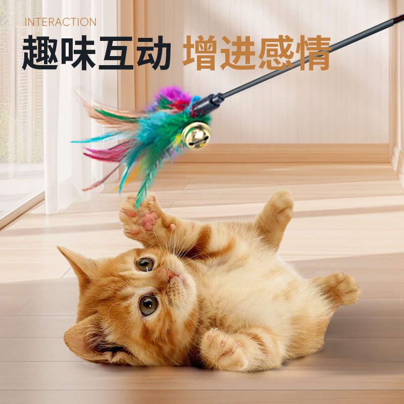 一件起批逗猫棒猫咪玩具互动长杆七彩羽毛带铃铛自嗨解闷宠物用品