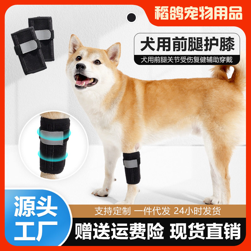跨境新款狗狗护膝前腿受伤恢复绑带魔术贴保护狗狗关节可调节护膝