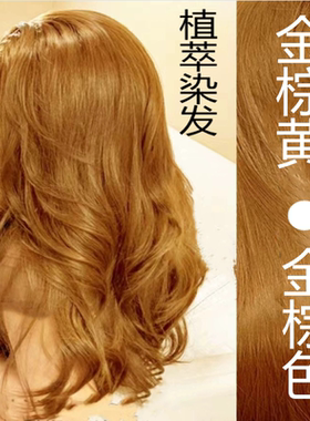 流行浅金棕染发膏自己在家染发剂女韩国金黄色纯紫酒红植物无刺激