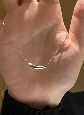 小红书爆款小茄子项链女小众ins轻奢气质钛钢不色学生锁骨链