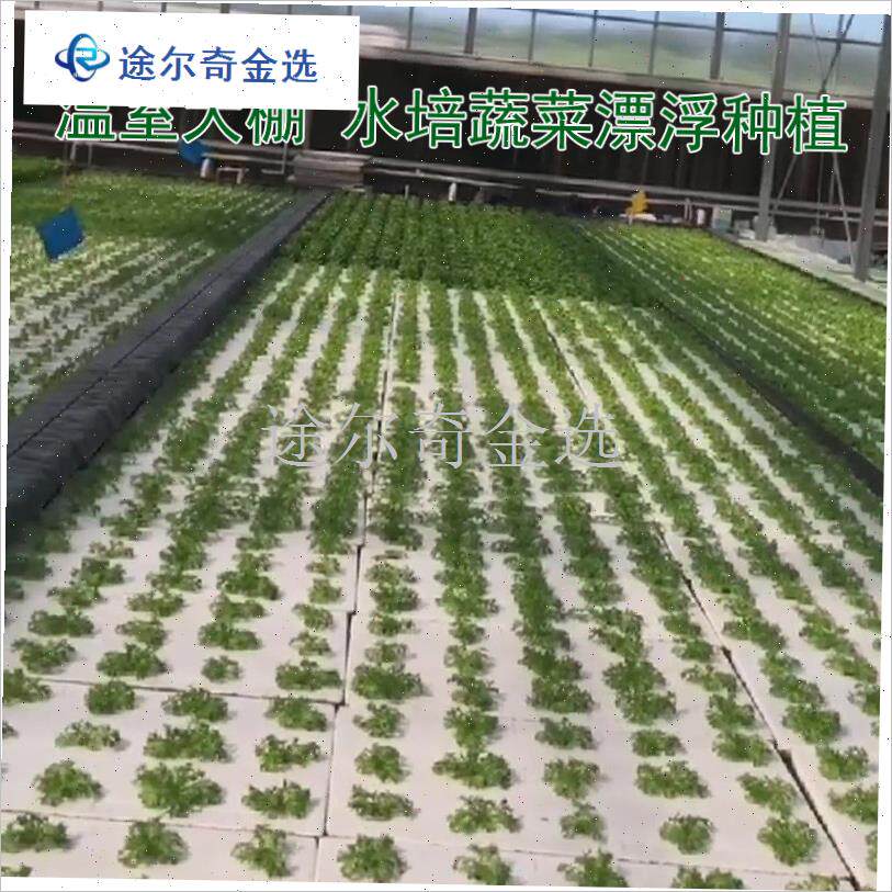 水培蔬菜设备漂浮种植板s鱼塘水面项目种菜无土R栽培定植篮海绵